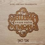 Shlomo Simcha - Ani Kan (CD)